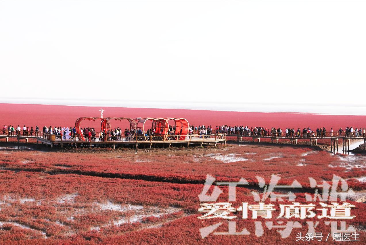 胃病体虚吃什么补品,慢性胃病的秋冬季养生