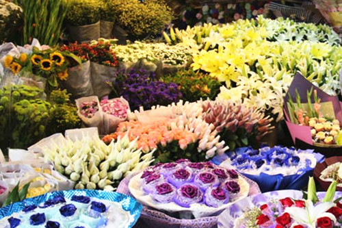 重庆南岸区开花店可以在哪里进货,优质鲜花批发需要多少钱