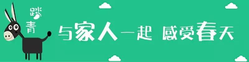 安康汉江五桥什么时间修,安康五桥什么时间动工