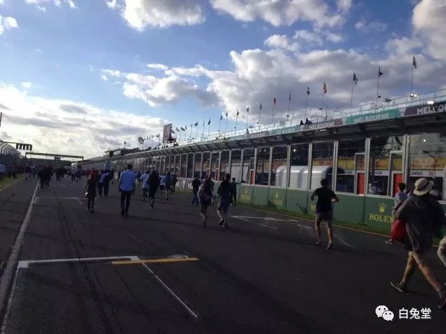 「白兔堂」可能只有不到10%的游客在澳洲玩到了这些！你玩对了吗？