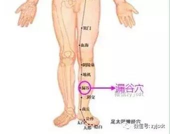 中医减肥降脂化痰祛湿方剂,祛湿化痰减肥药方