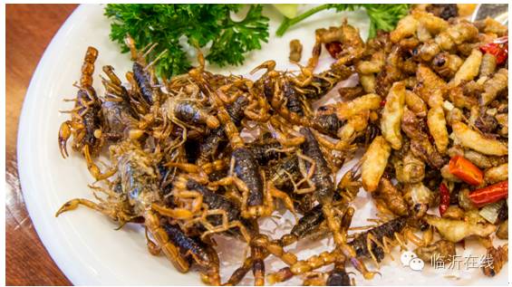 请不要听说临沂，请听临沂说......