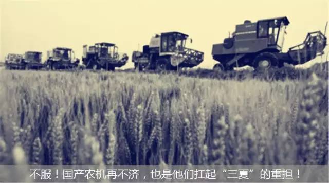 致富的步骤和方法有哪些,致富技术教学