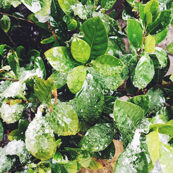 浙江人眼里的杭州,杭州很现实吗