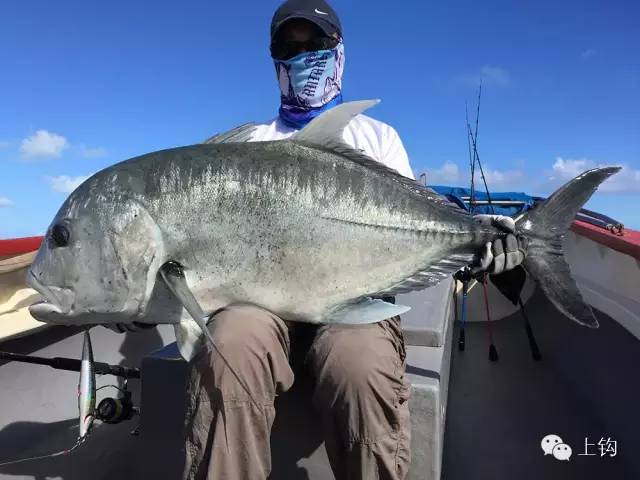 在荒蛮的世界尽头追猎“怪物”