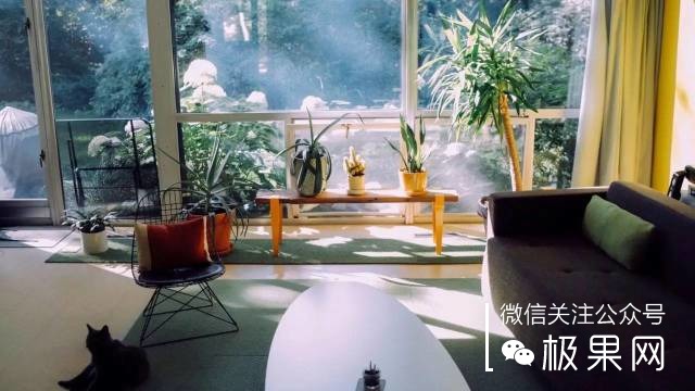 流浪汉用垃圾桶造房子,流浪汉自己用木头建了个房子