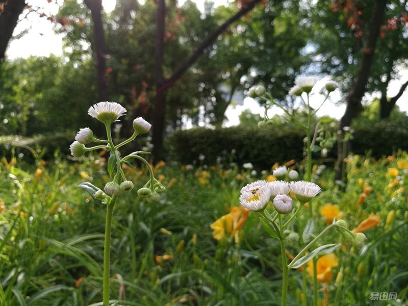 荣耀v8特色,荣耀v8是旗舰版吗