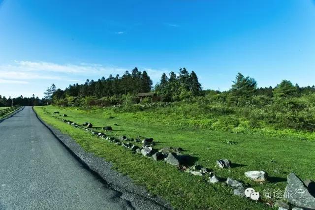 重庆生物地理答案,重庆水土生物研究