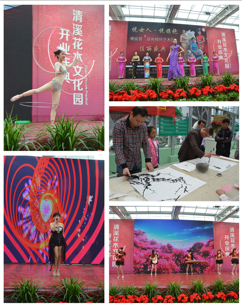 踏青赏花好去处合肥,合肥市内春游赏花公园