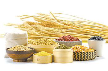 吃什么食物头发又浓又密,常吃哪些食物对头发好