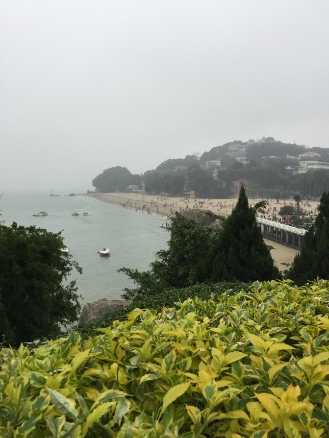 鼓浪屿自驾游全攻略,厦门鼓浪屿登岛全攻略
