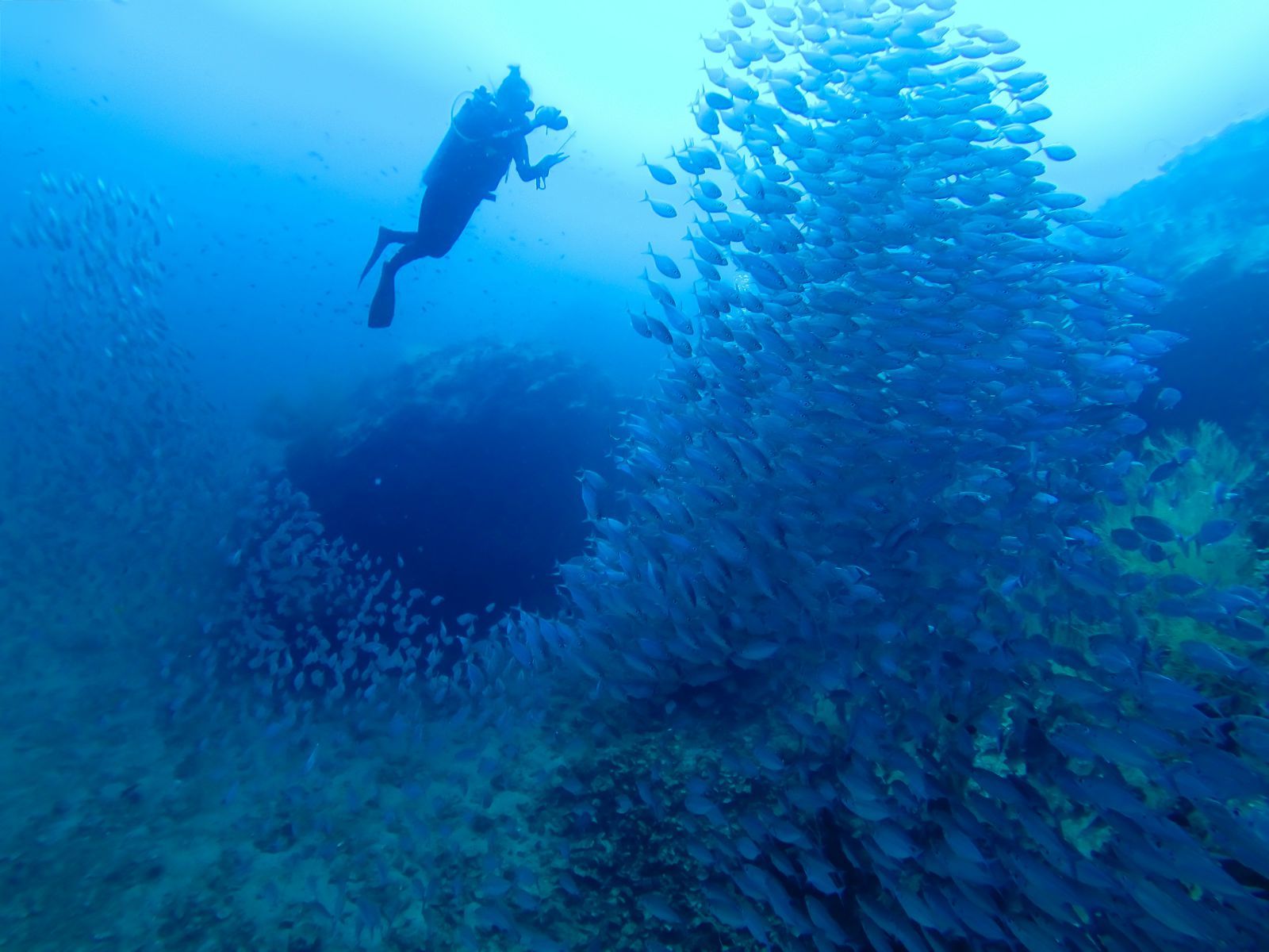 八个绝佳的潜水圣地建议收藏哦,全球最适合潜水的城市