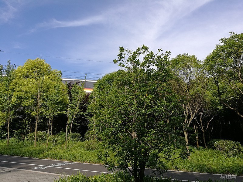 荣耀v8特色,荣耀v8是旗舰版吗