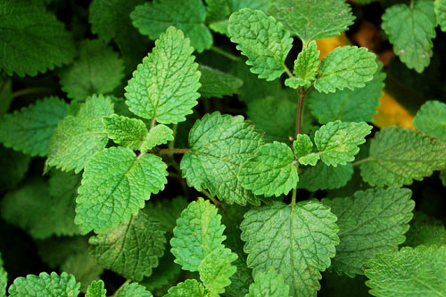 不看不晓得,不看不知道