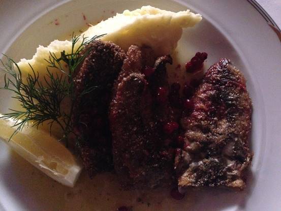 施华洛世奇白天鹅10年,马尔默全集完整版