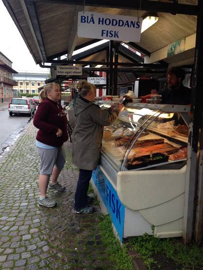 施华洛世奇白天鹅10年,马尔默全集完整版