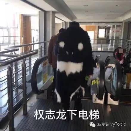 淘宝同款和明星原款区别,淘宝上这么多同款应该选哪样