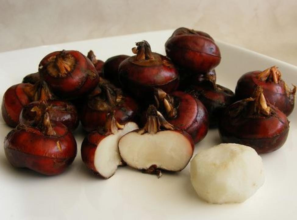 怀孕能吃肉炖莲藕吗,孕妇可以吃茄子莲藕吗