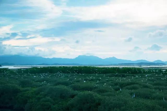 惠东有什么好玩的东西推荐,惠东海边景点推荐网红打卡地