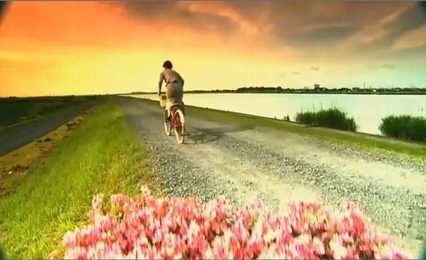 爱丽丝梦游仙境唯美景色,爱丽丝梦游仙境超美场景