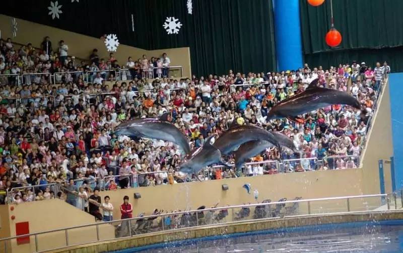 六一来领小礼物,六一收到孩子送的礼物