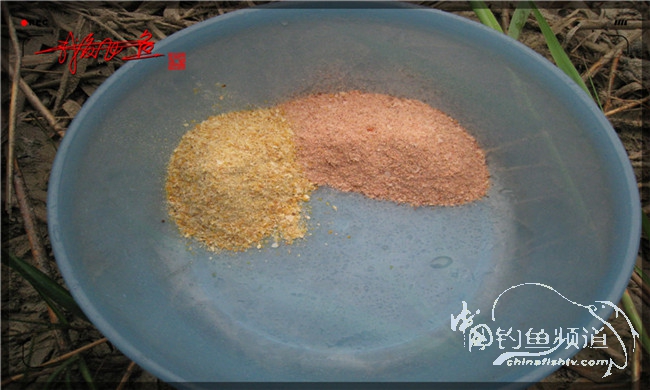 风雨无阻之我爱飞鱼去‘*欢寻**’！