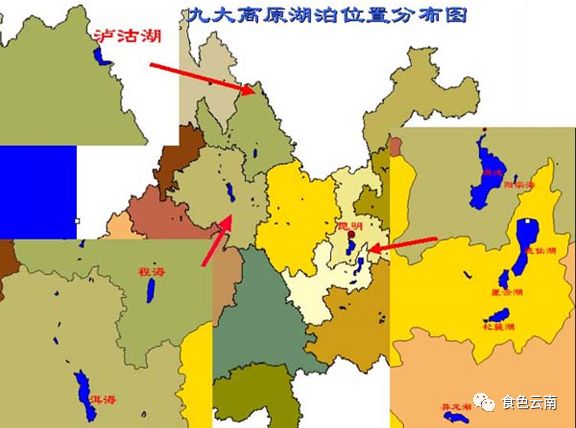 云南淡水鱼类图鉴,云南鱼类有哪些