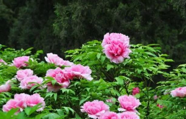 北京游玩一年不重样,一天游北京攻略大全