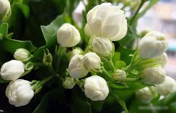 过期药片是个宝千万别扔掉,过期药片变废为宝