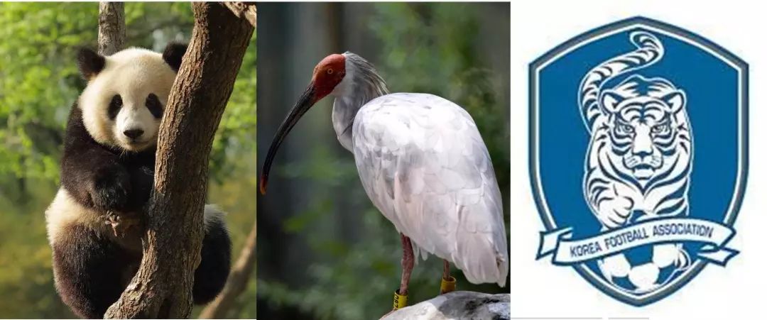 中国锂电池技术有多牛,大国重器动力电池