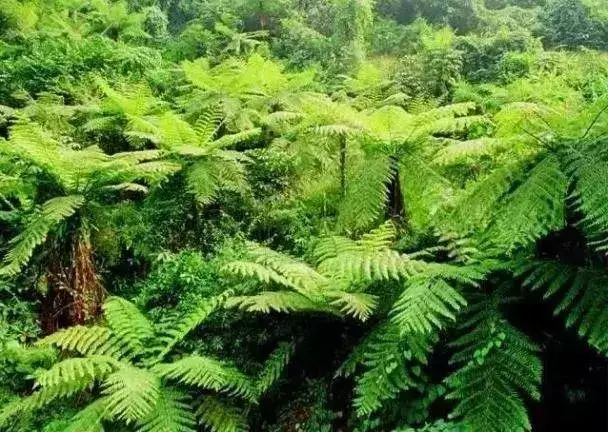 赤水一日游真实感受,感受赤水河