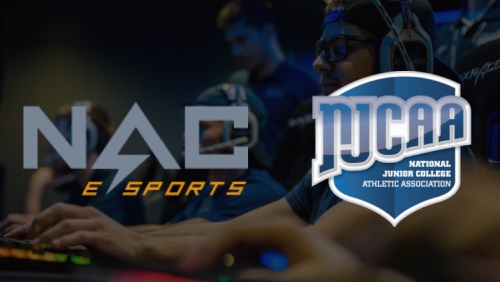 双刃剑体育成为大巴黎大陆及香港独家代理，猜猜羽生一双冰鞋拍出多少钱？｜懒熊早知道