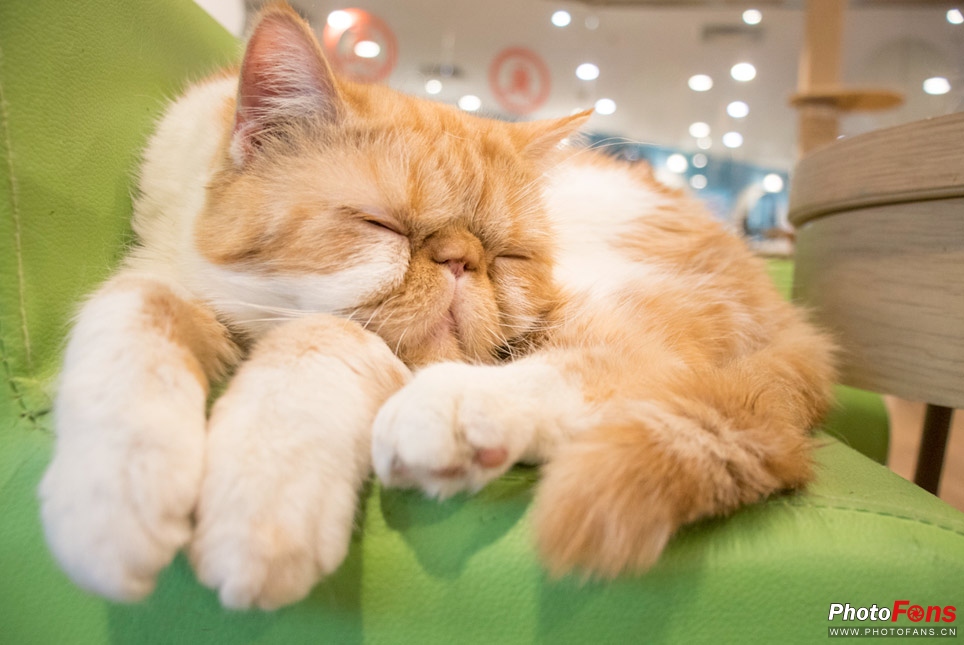 带EOS800D逛书店这个周末的打开方式我给100分