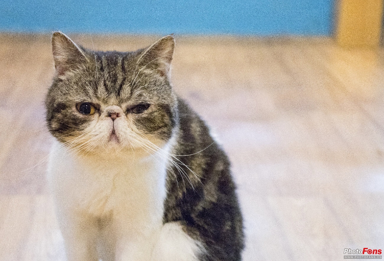 带EOS800D逛书店这个周末的打开方式我给100分