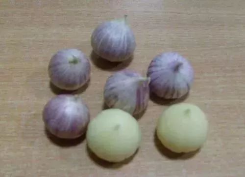 吃大蒜抗衰老和美容是真的吗,大蒜对降血压的功效与作用