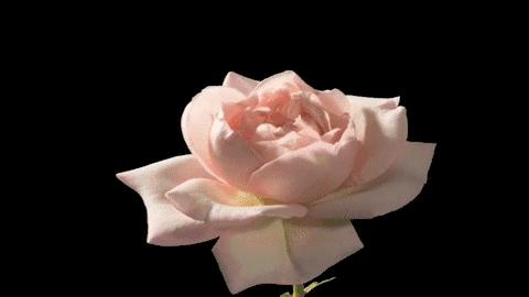 弘叔种草+浮力｜不管春天来了没，春日必备单品清单在这儿呐！