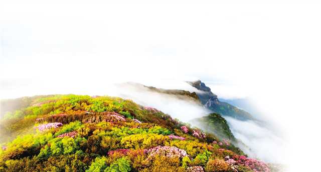 重庆南川山水都市旅游,重庆南川秋季旅游排名