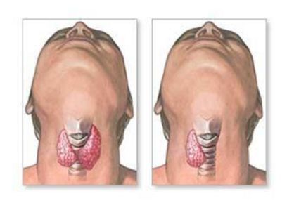 甲府事件有哪些,甲府市在哪里