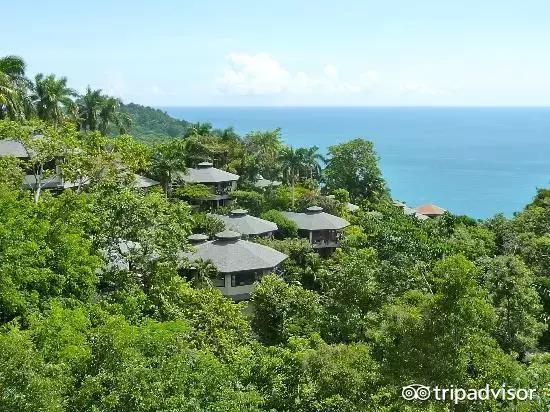 猫头鹰酒店排名,猫头鹰十大排名