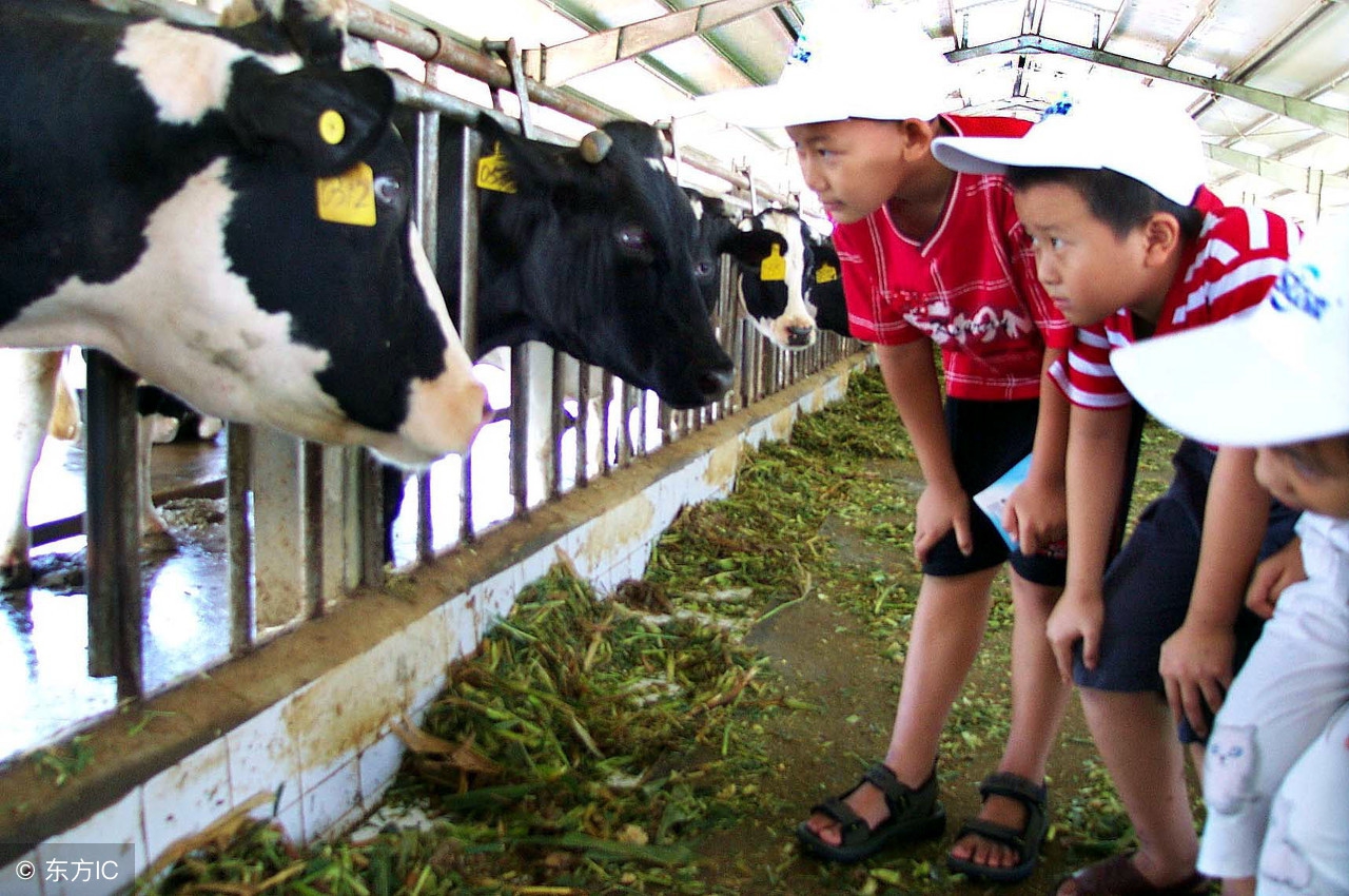 休闲农庄7种模式,怎样定位自己农场