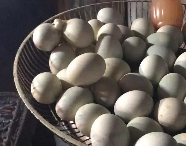 巴拉望科隆岛旅行,旅游菲律宾值得去的岛屿