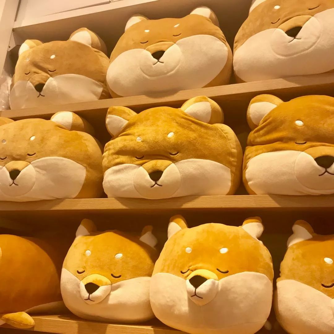 不止MUJI，逛遍成都这些单品店，发现每一家都在抢钱！