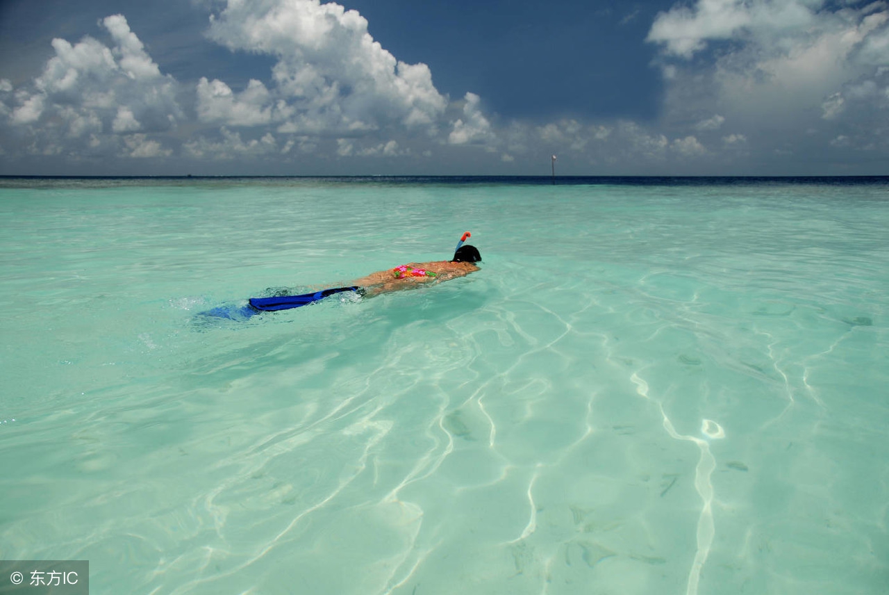 历史的惨痛教训不要忘记,历史的教训不能忘