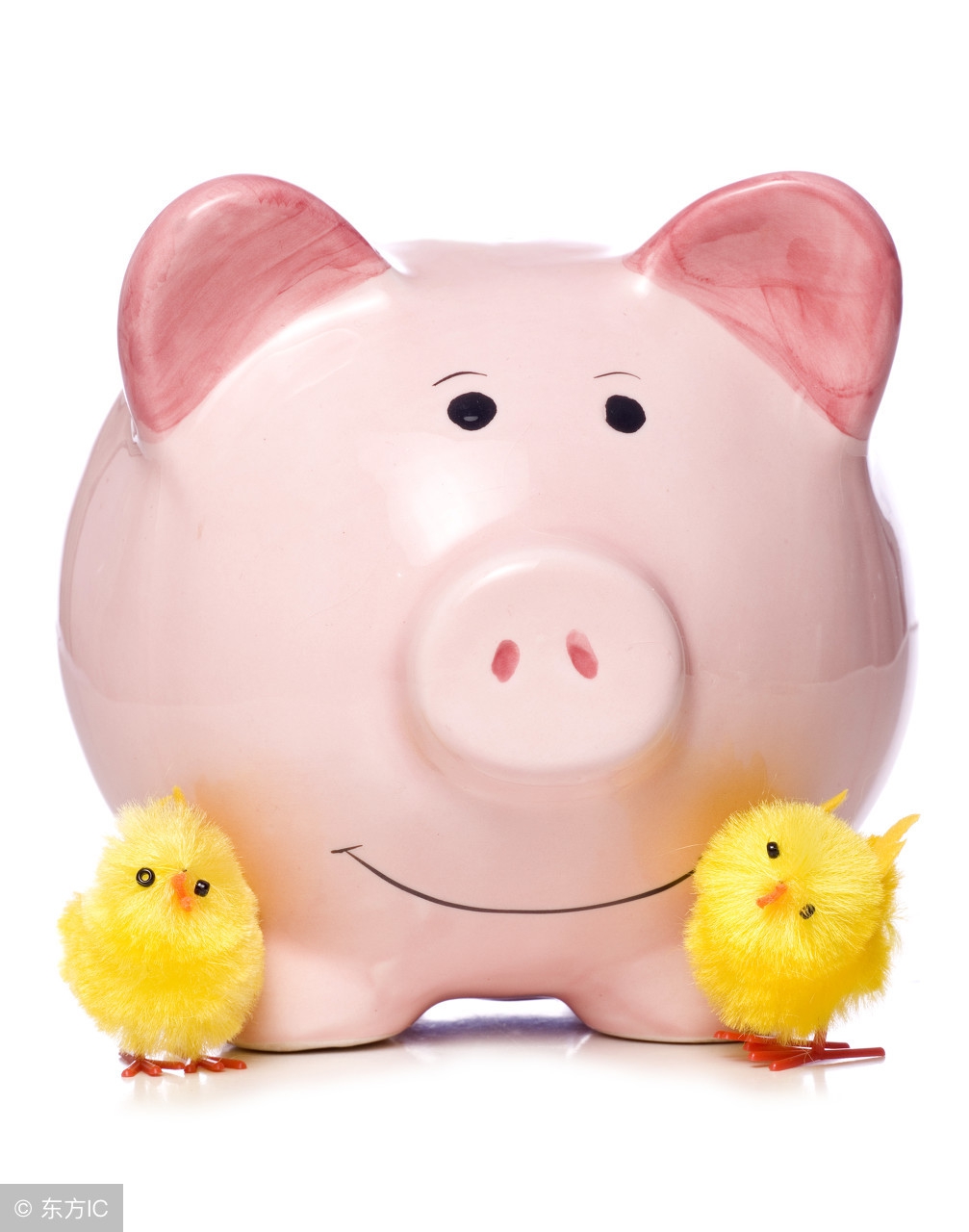 十二生肖运势2019年属猪人运势,属猪本命年流年运势怎么样