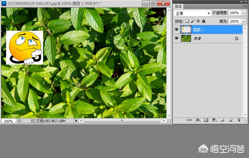 在ps中如何复制选区内容进新图层,ps怎么把图层复制到另一张图里
