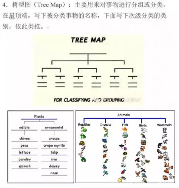 最常见的八种思维导图,有名的思维导图老师
