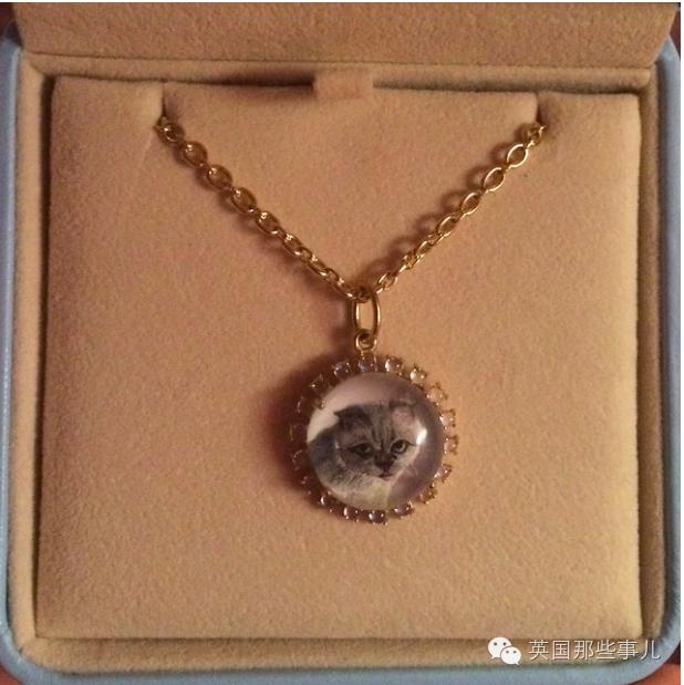 霉霉和她的猫咪,霉霉两只猫叫什么名字