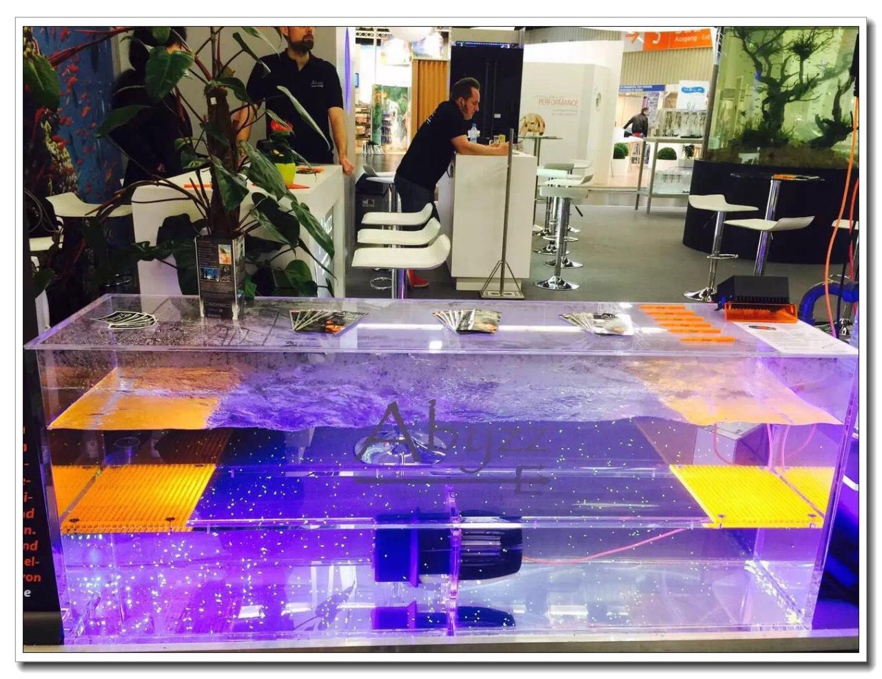 水族新手养鱼攻略,鱼缸养鱼攻略新手必备