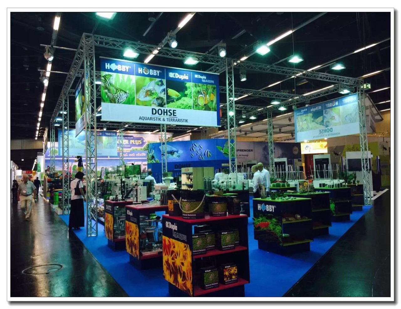 水族新手养鱼攻略,鱼缸养鱼攻略新手必备