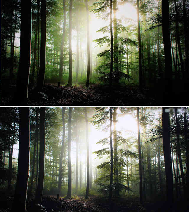 一言不合飙画质!CANTVW55电视深度评测